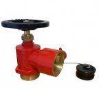 Fire Hydrant Landing Valve 65mm BIC x 65mm BSPM